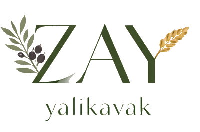 ZAY Logo